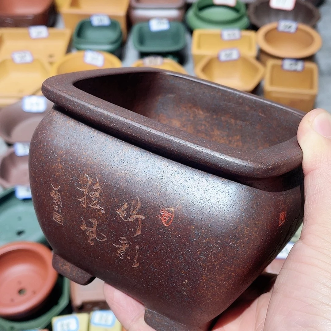 紫砂小盆10*8cmmmmm