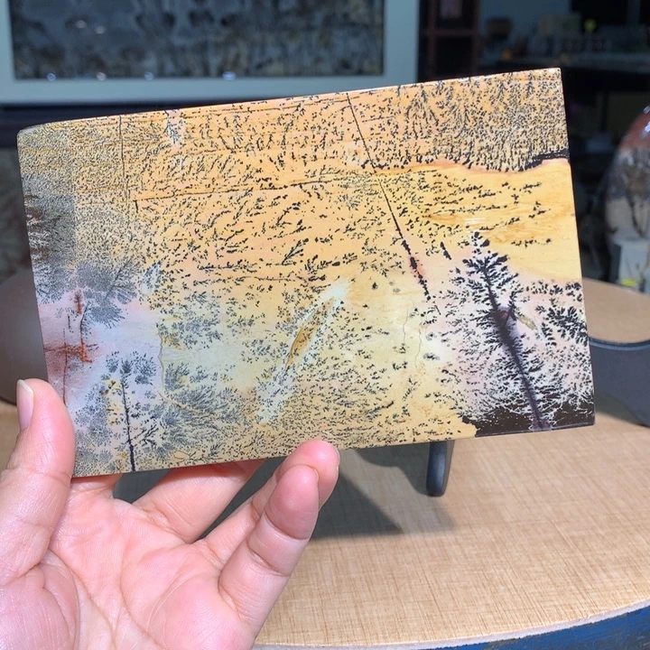 ，广西国画石摆件，收藏观赏