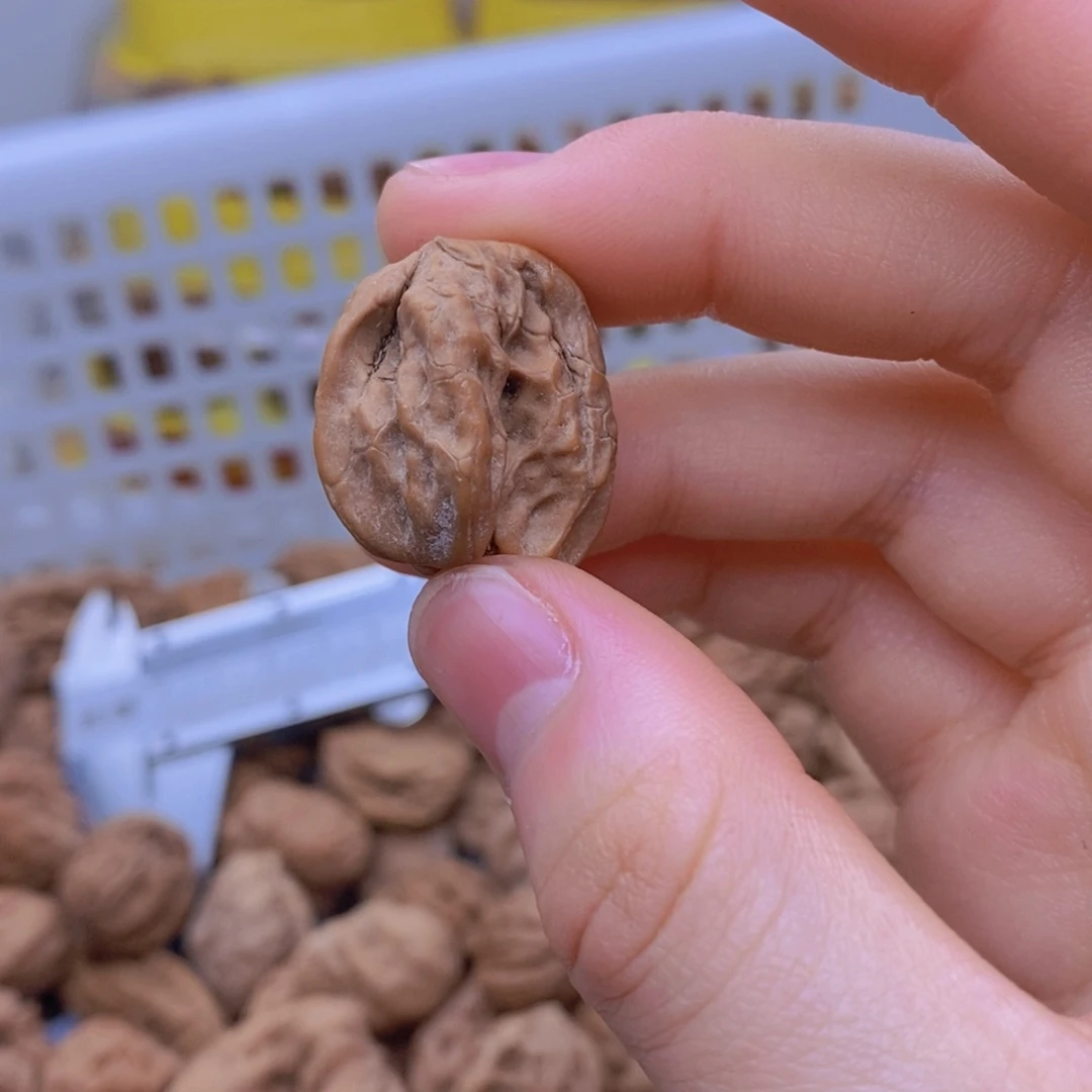 把件文玩核桃三*