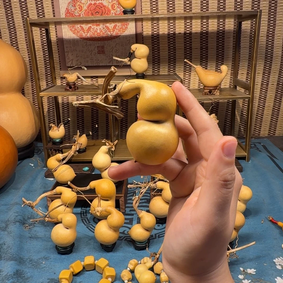 家***顺手把蚂蚁弓背贴肚