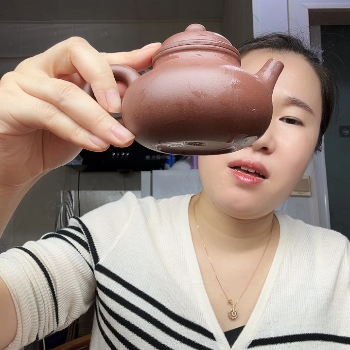 茶壶紫砂原矿半手工紫泥容天200cc