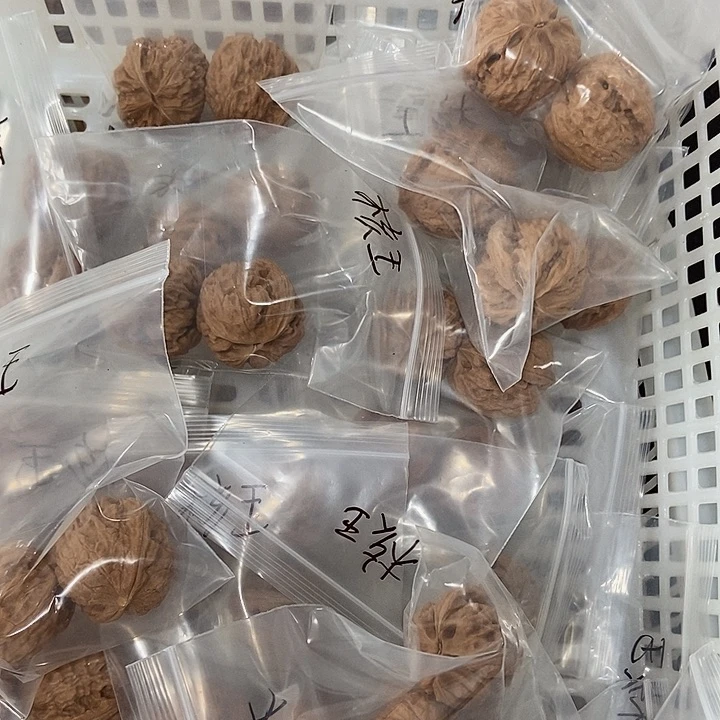 吊坠文玩核桃核王瑕疵