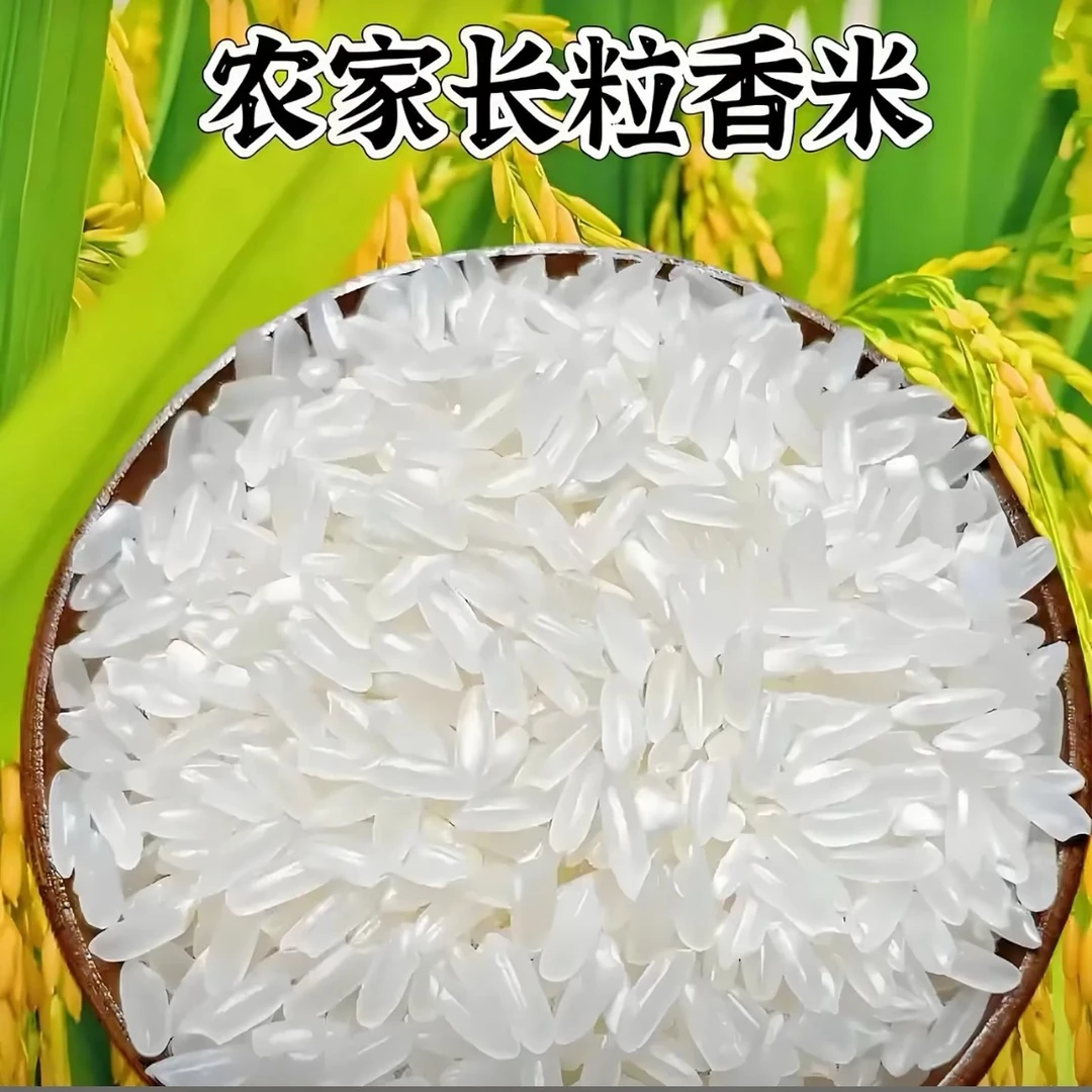 黑龙江长粒香新米绿色食品当季寒地大米