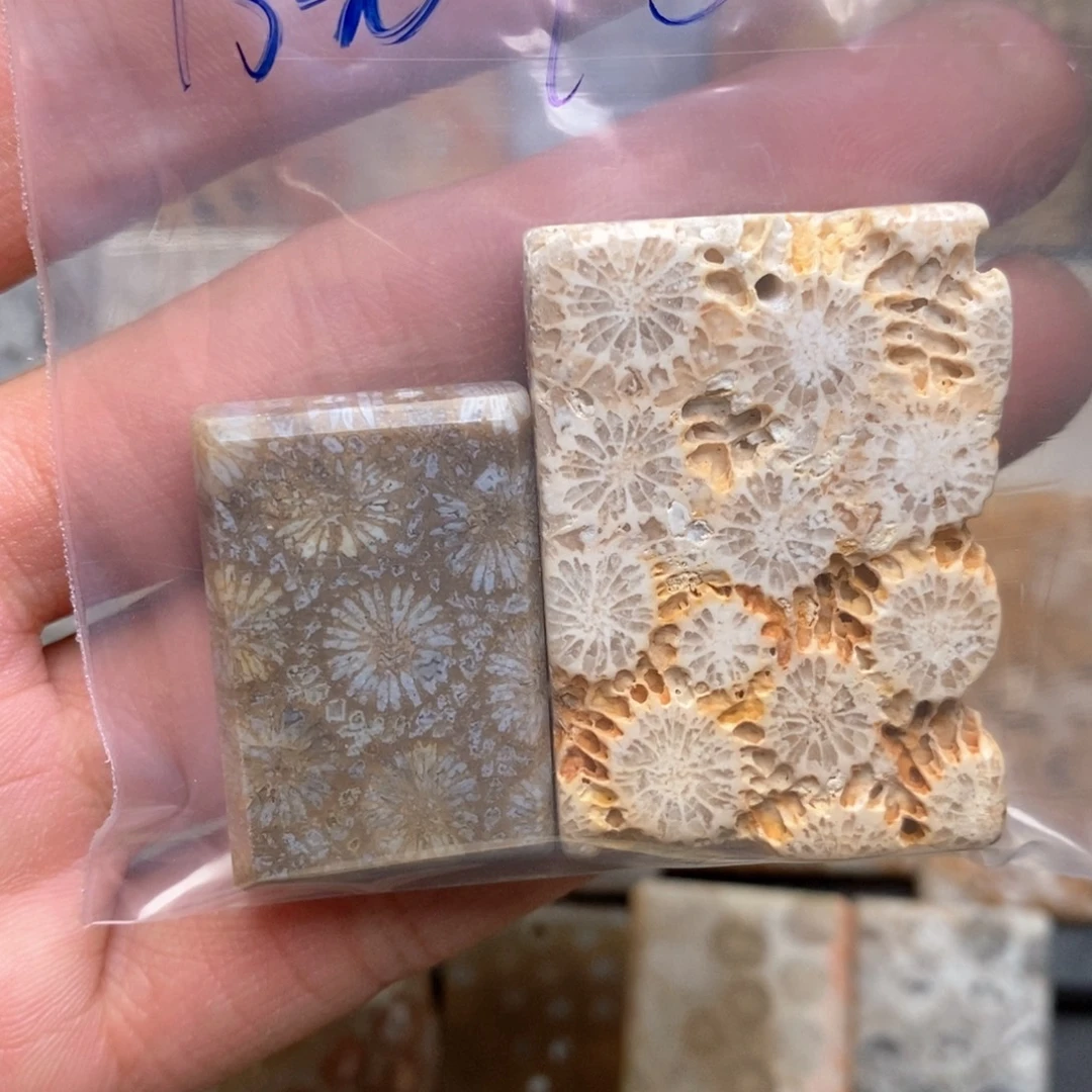 行***知硅化珊瑚（珊瑚玉）未镶嵌颈饰