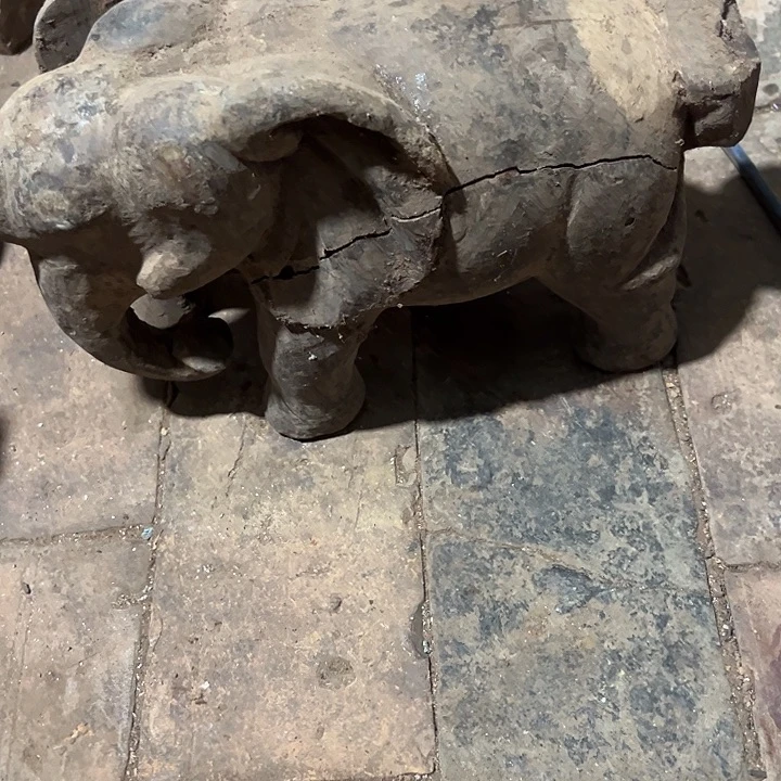 香榧木9888888998888898888