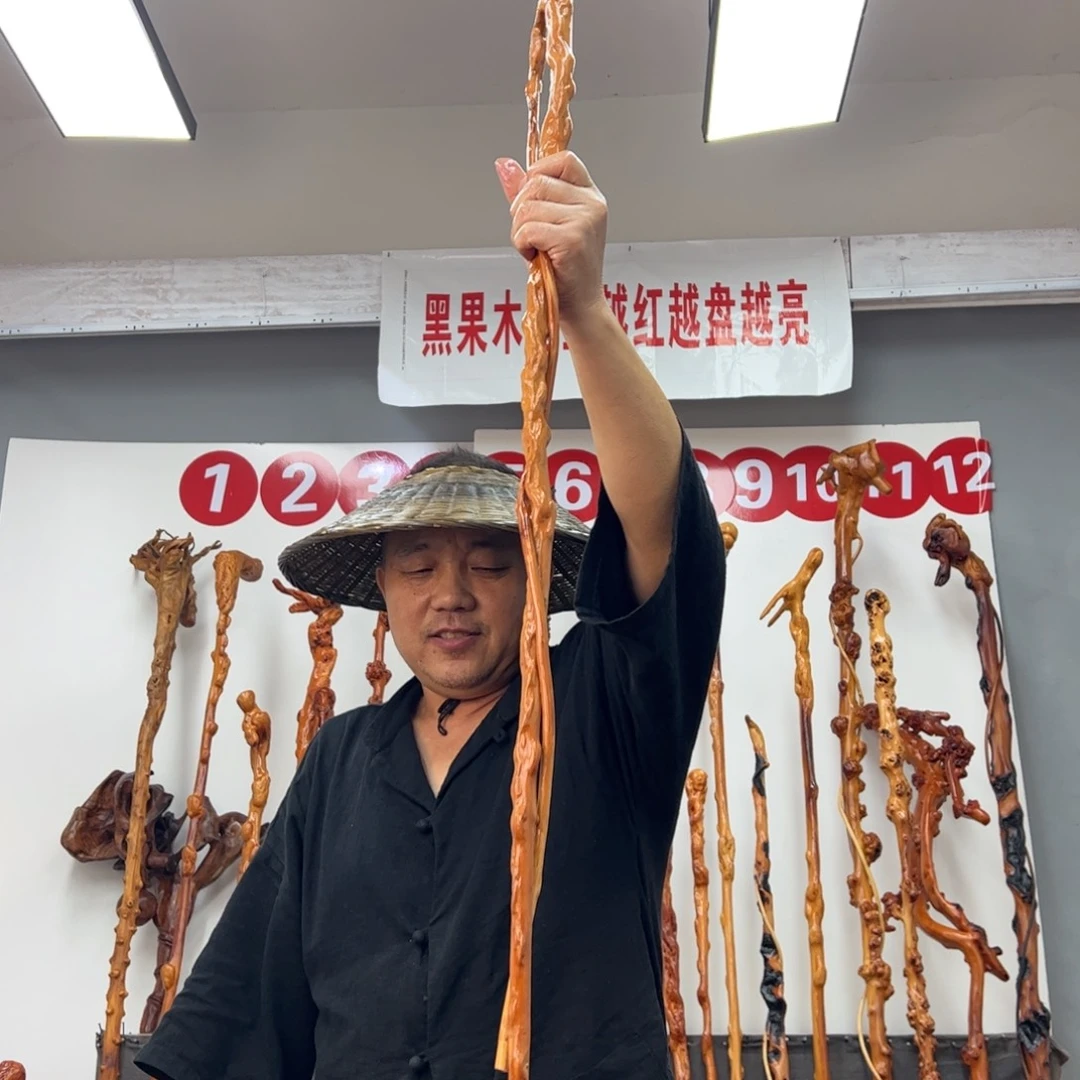 沉***人黑果木其他黑果木981