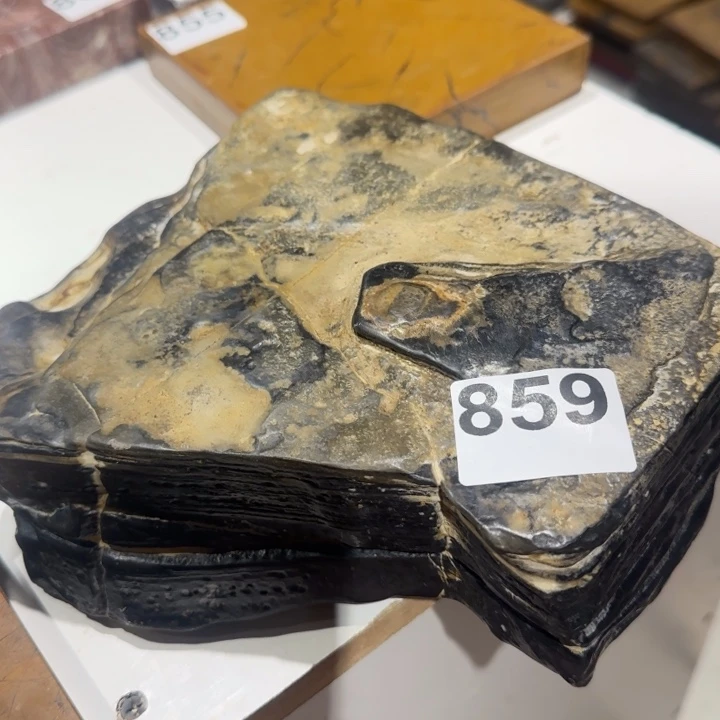 11111111丘*华1111111111