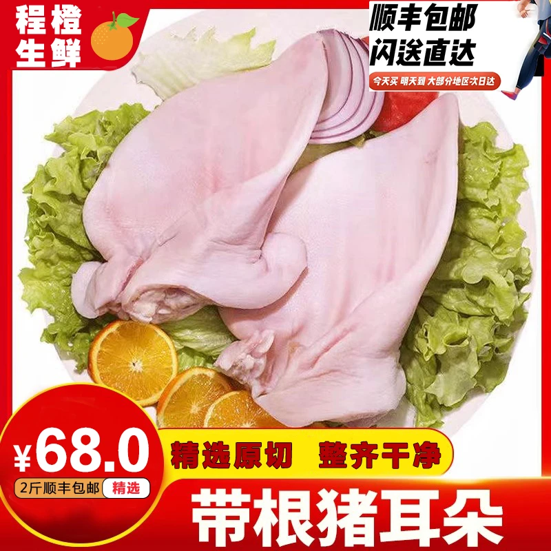 新鲜现杀土猪耳朵正宗高山农户散养农家土猪耳朵干净无毛速冻锁鲜
