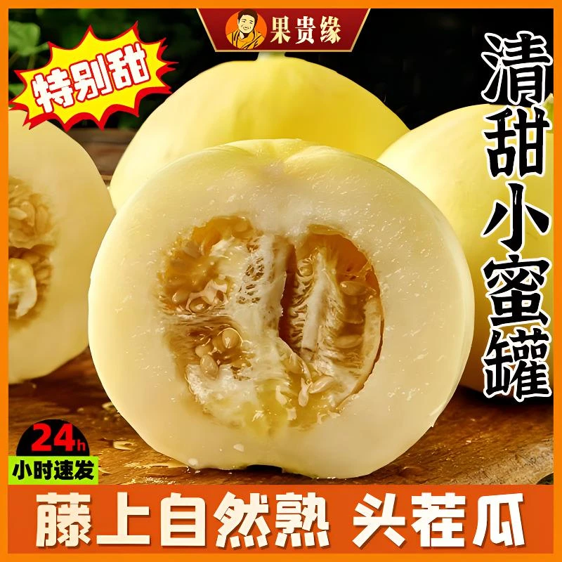 【巨甜】山东头茬新鲜小蜜蜂蜜罐甜瓜香甜美味清脆清香甜蜜采摘包赔