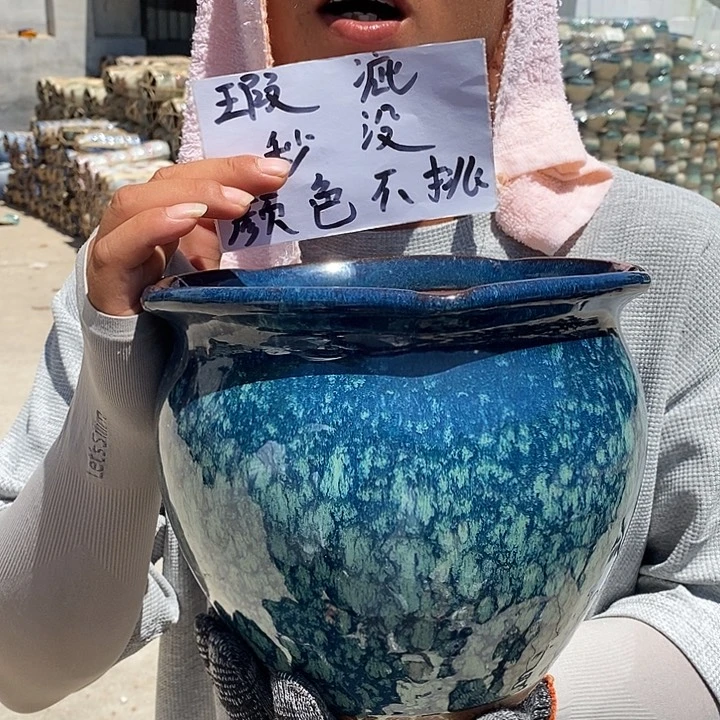 瑕疵颜色不挑瑕疵