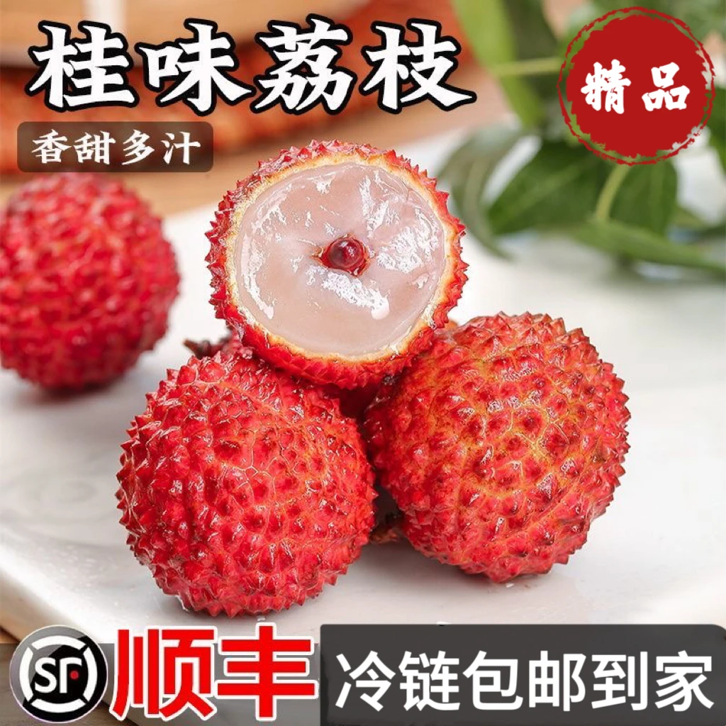 【顺丰冷链】正宗高州桂味荔枝新鲜现摘泡沫箱冰袋保鲜发货包邮