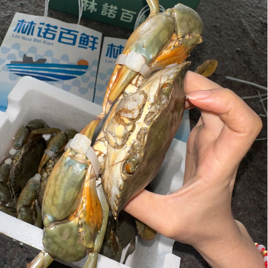 【现称现改价4】三门青蟹 两斤起拍 公蟹母蟹 顺丰到家包活包肥包鲜