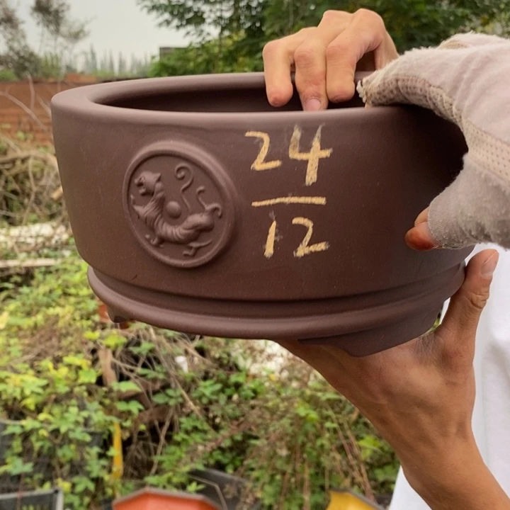 花盆紫砂没有什么不可以