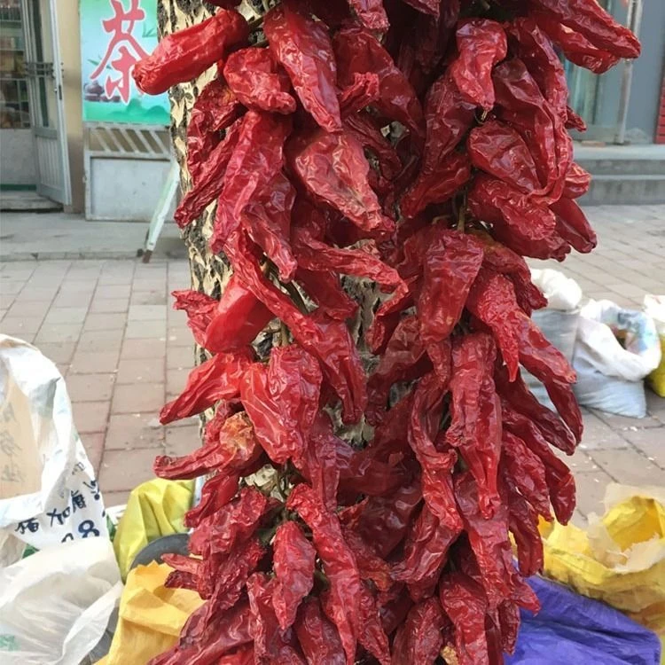 农家自然晾晒干辣椒香辣