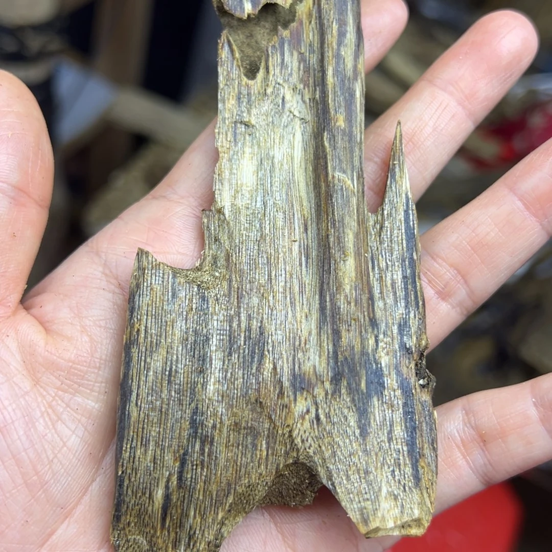 线香奇楠虫漏香23克