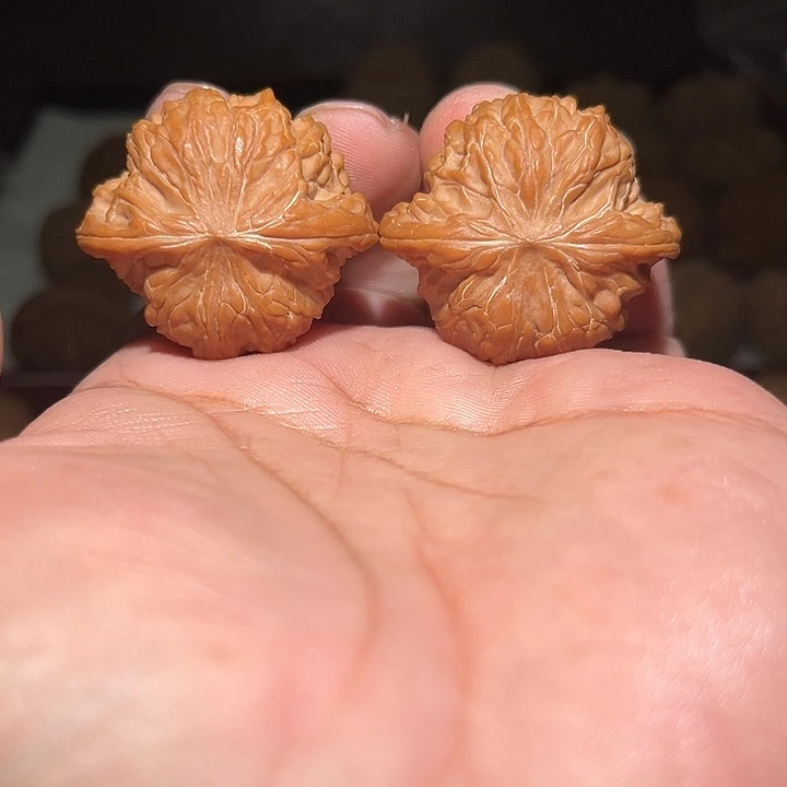 木39磨盘狮子头。