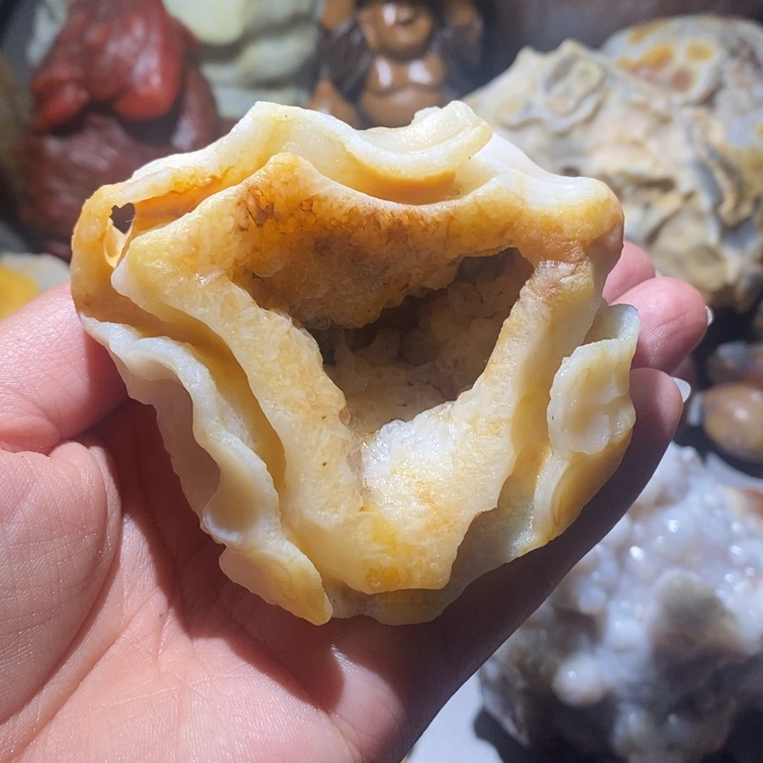 石材阿拉善窝窝奇石