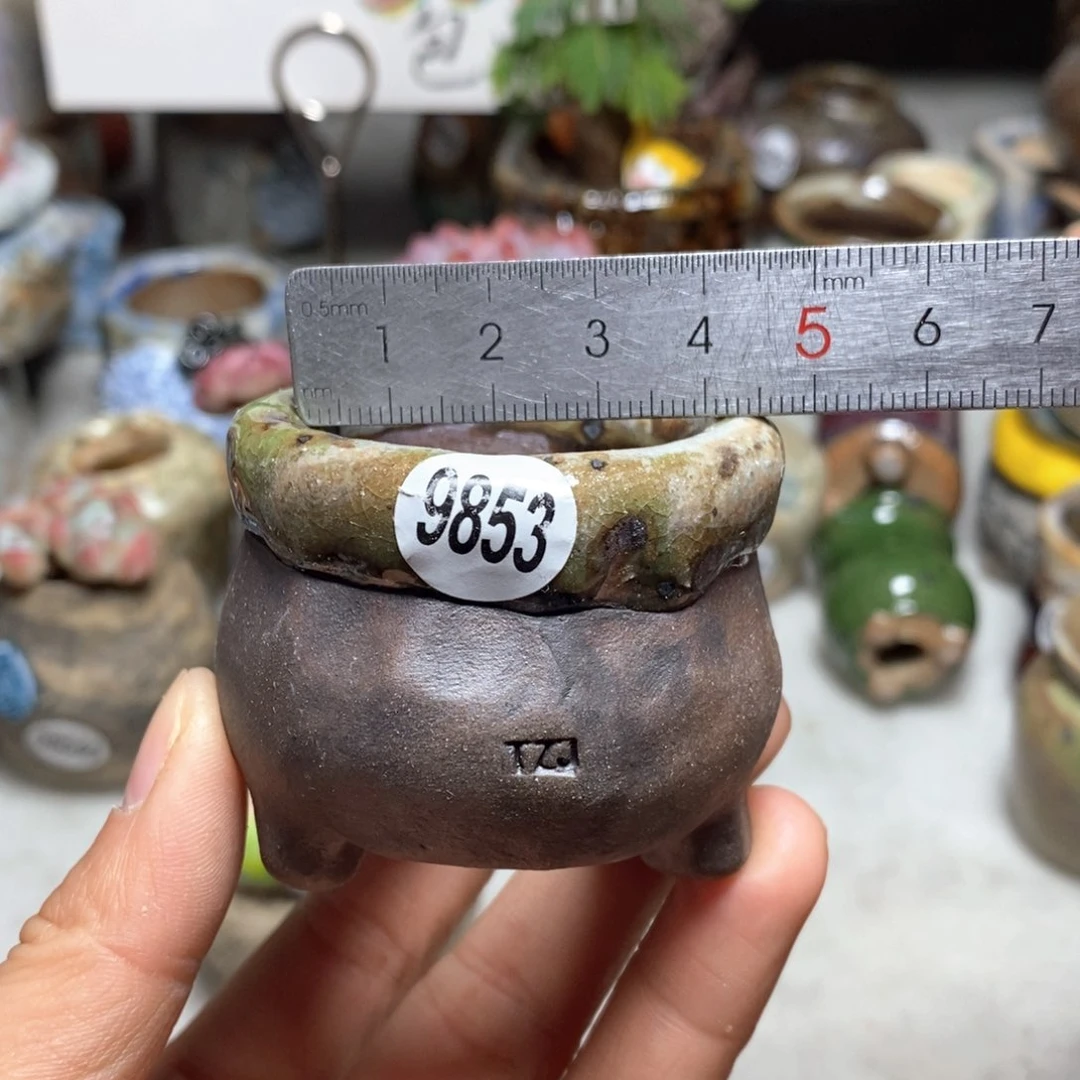 双12活动花盆不退不换原28