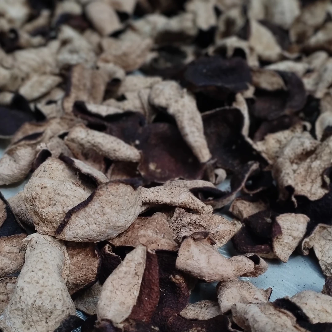 新会陈皮大红皮10年广东特产泡茶泡水