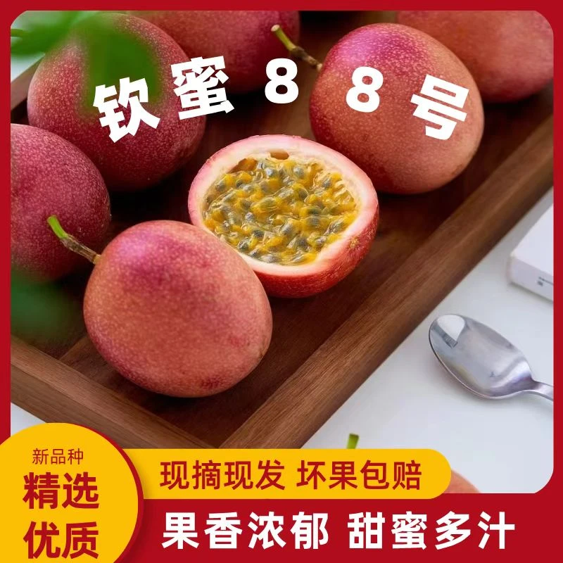 云南钦蜜88号玫瑰紫色百香果新鲜百香果新鲜紫皮蜜甜多汁大果吃货
