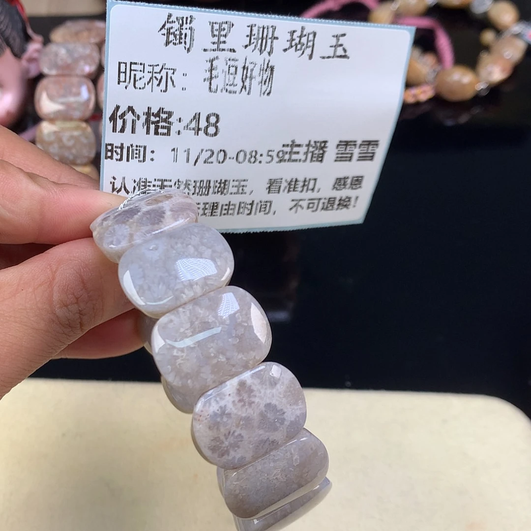 【闪购商品】颈饰未镶嵌硅化珊瑚（珊瑚玉）毛**物