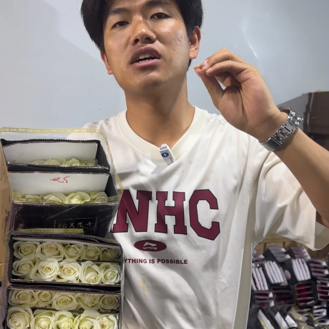 骄傲4扎包邮价秒杀