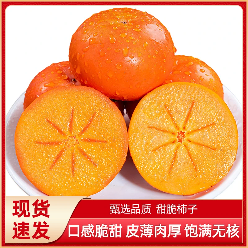 陕西阳丰巧克力脆甜柿子应季水果脆甜多汁新鲜现摘现发