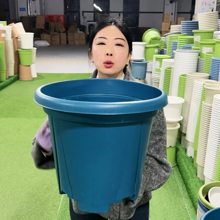 清仓青山口40高34蓝色3只无托