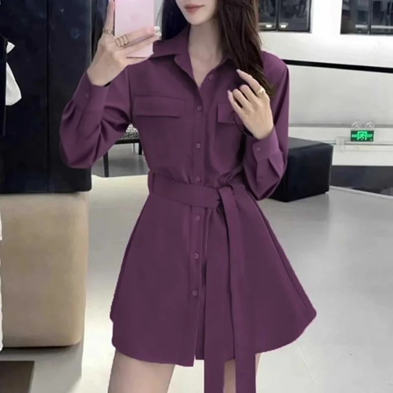 XH【木子】【两件套】2025春秋新款高腰显瘦气质收腰裙子两件套D3225