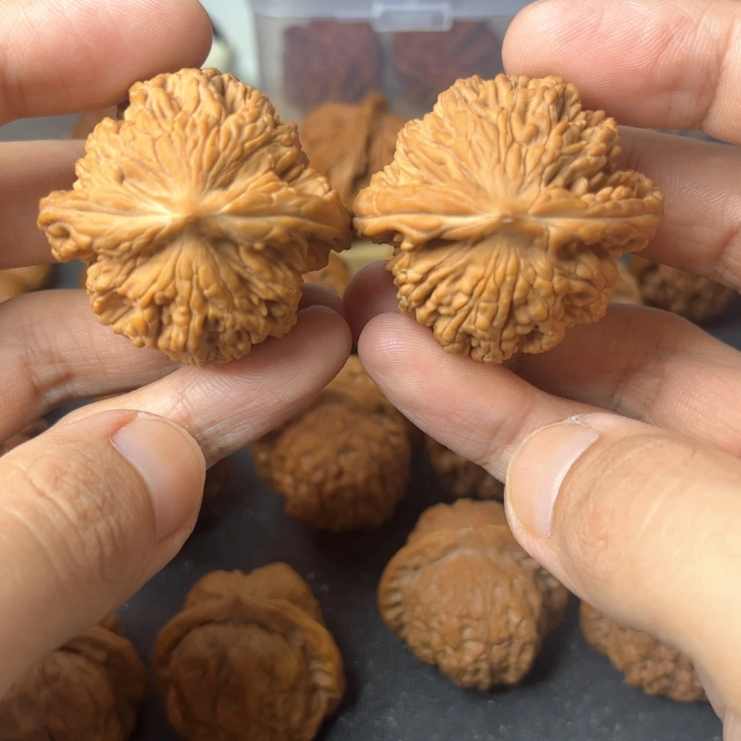 守正核堂，41尺麦穗虎头