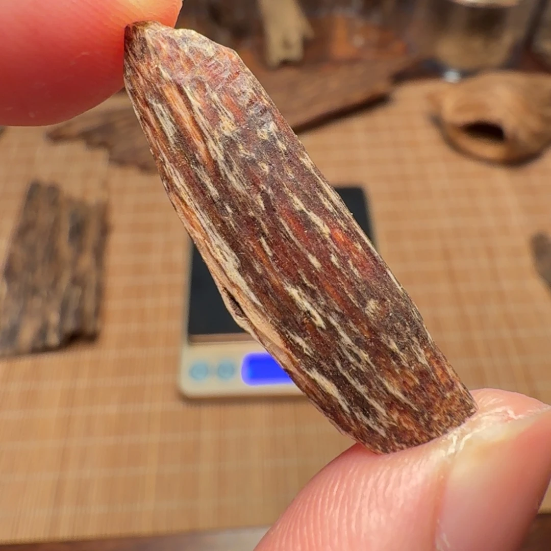 沉香香港西贡棋韵瓜子