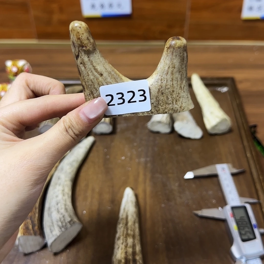 鹿骨手串/手链怪角2323