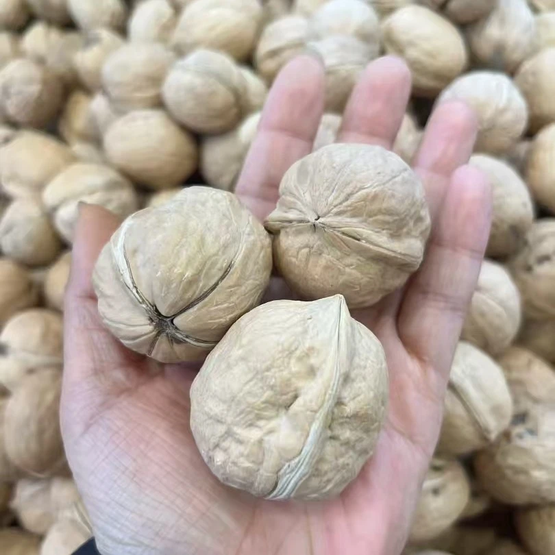 上九山薄皮核桃，整箱净重4.5斤装