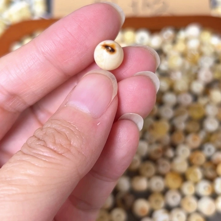 蜜蜡未镶嵌裸石8.8mm一个