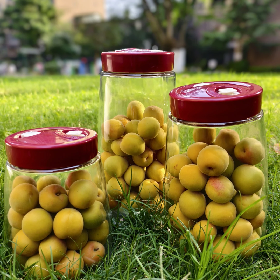 泡梅子酒（梅子酵素 梅子蜜）套装