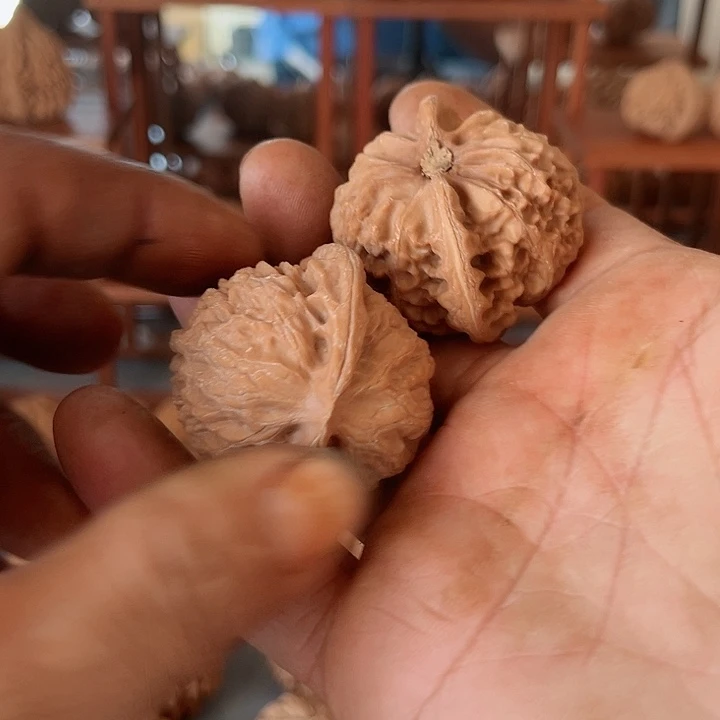 完全开放氵**余宫灯核桃