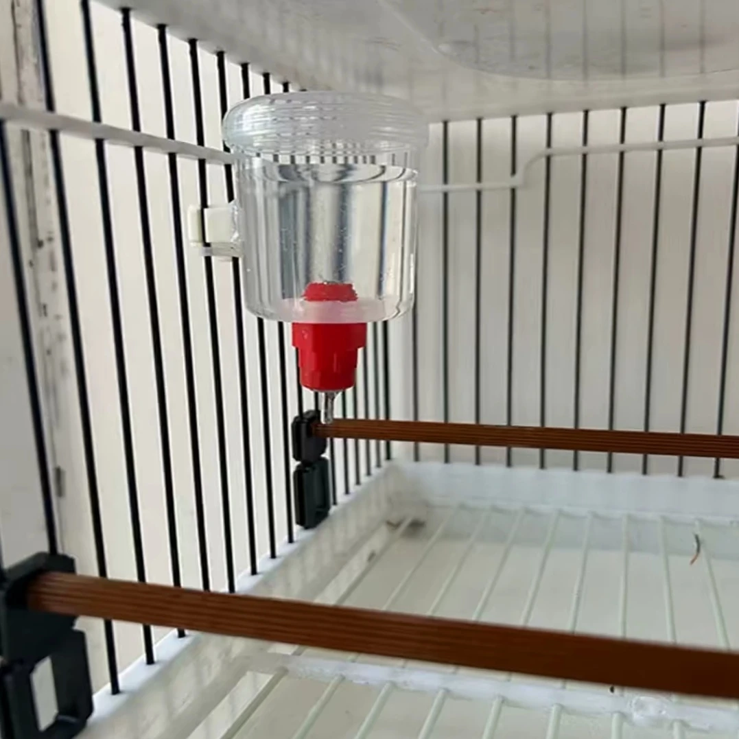 鸟用撞针饮水器自动饮水器鸟用水罐水碗小鸟喂水器