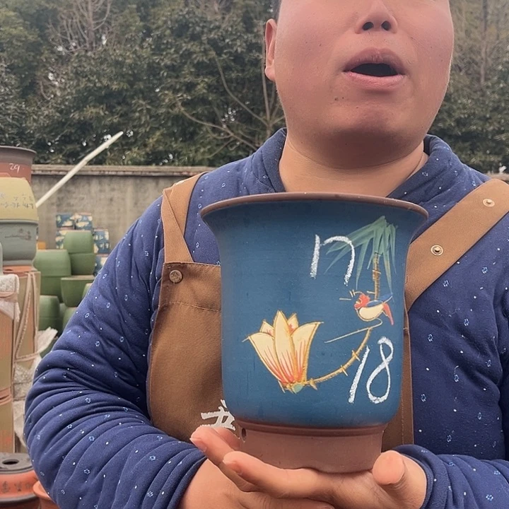 紫砂紫砂花盆盆栽