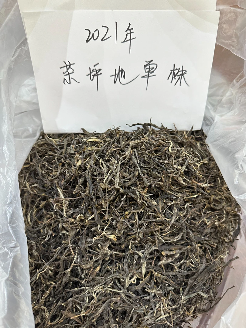 （100克）2021年茶坪地（单株）头春普洱生茶