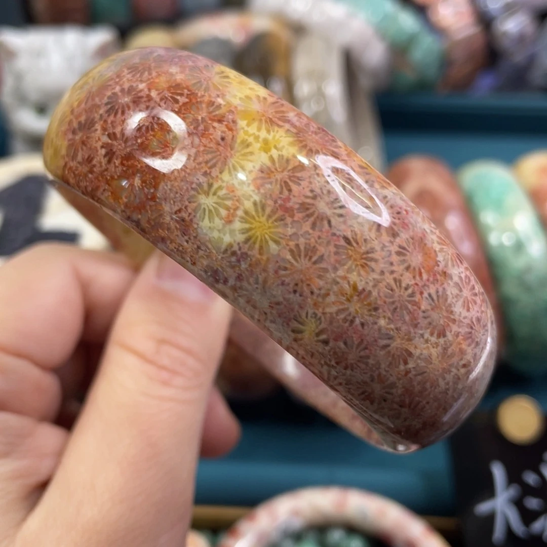 未镶嵌手镯硅化玉