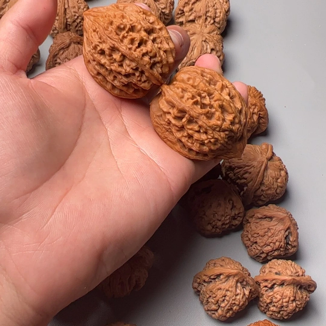 全品40大孤石123456789000