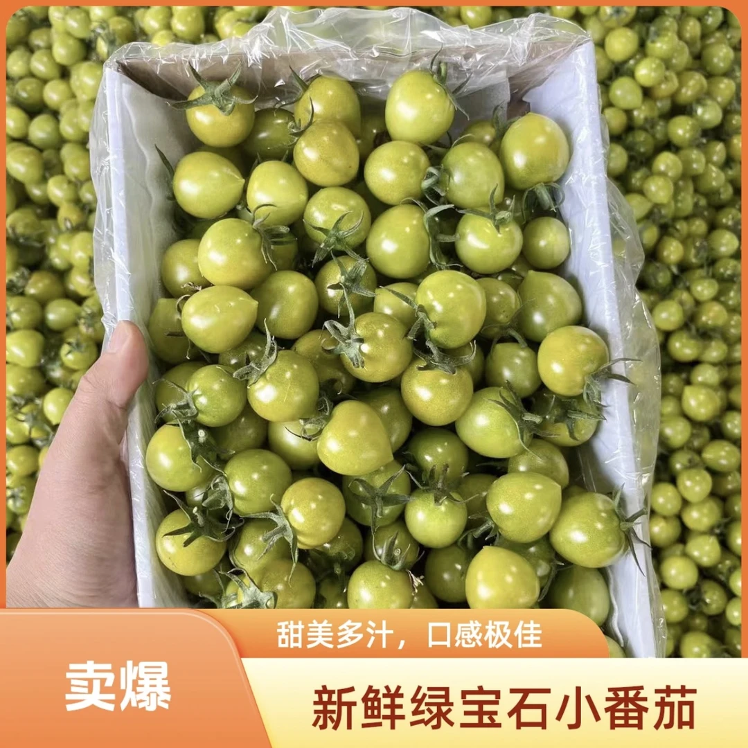 【青番茄】小番茄新鲜绿色圣女果小西红柿现摘水果青番茄包邮到家
