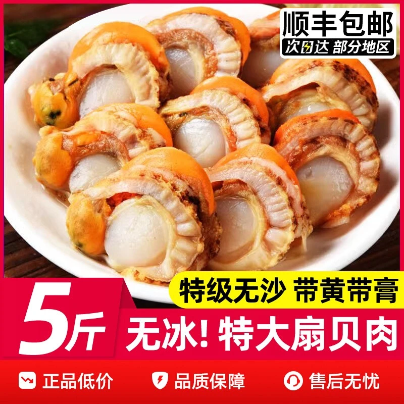 扇贝肉新鲜冷冻特级大号带黄带膏商用海鲜水产红贝批发黄蚬子鲜活