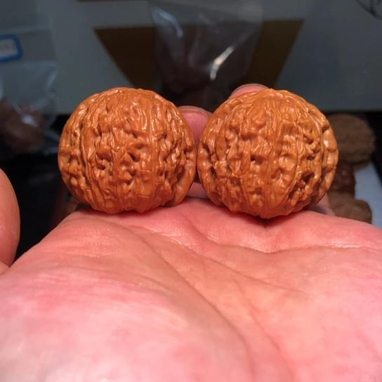 有机玻璃38全品糗百狮子