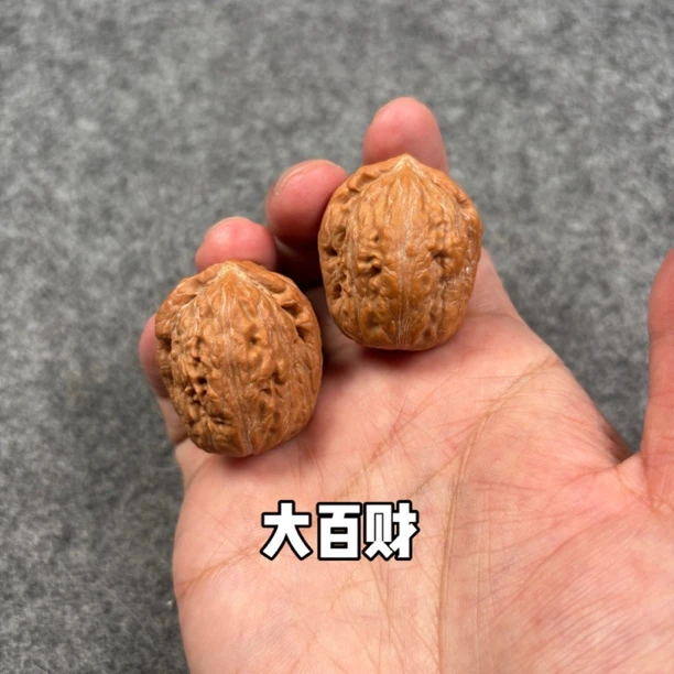 文玩核桃小手捻 原皮大百财 尺寸约2.8cm