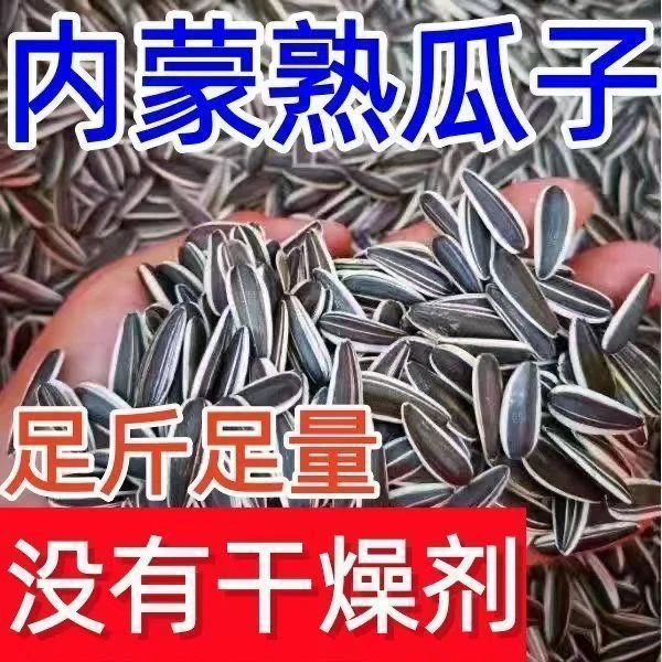 内蒙古原味大颗粒熟葵瓜子新鲜追剧零食