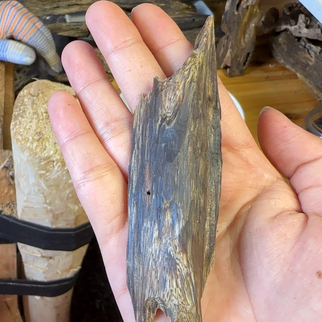 沉香碎屑沉香奇楠沉香11克