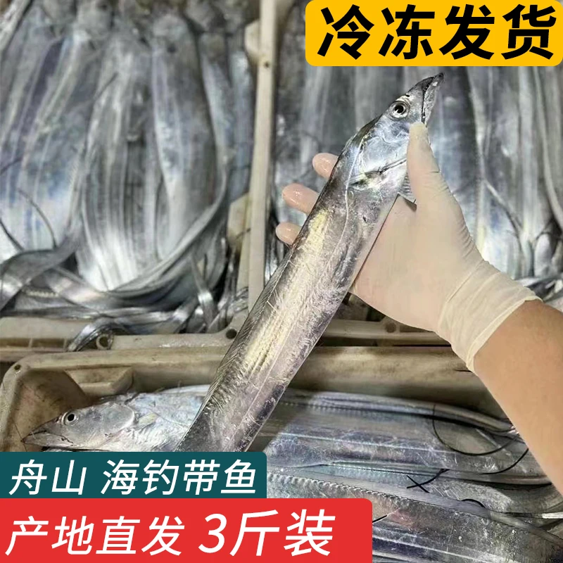 3斤装 舟山宁波带鱼整条海鲜东海鲜活冷冻小眼睛海钓油带鱼非刀鱼