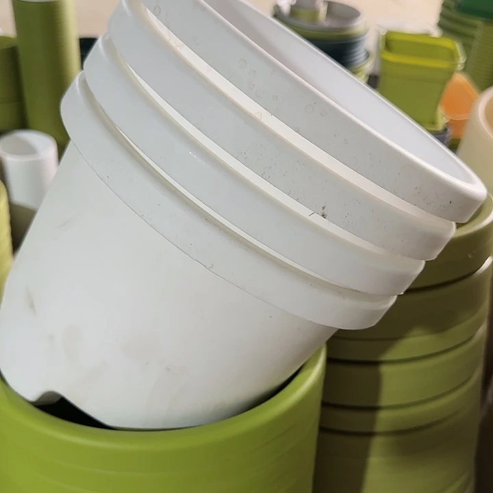 球根26口径6个无托白色