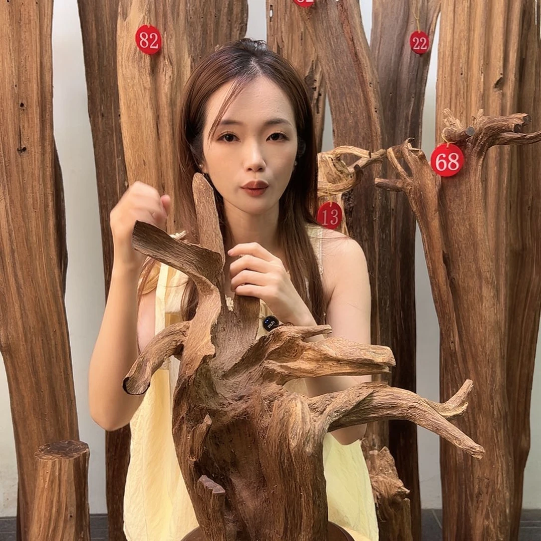 沉香碎屑沉香天然沉香原料香料